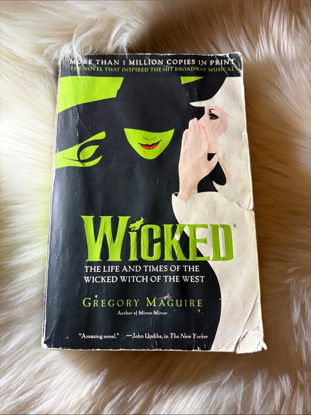 📚 3 for $15 📚 Wicked by — Green & Black Cover Edition